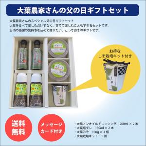 大葉 栽培キットの商品一覧 通販 Yahoo ショッピング