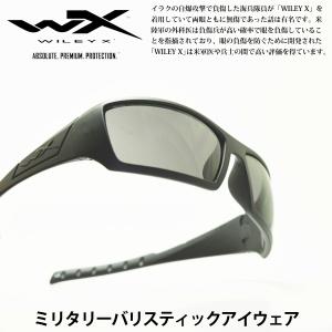 WILEY X ワイリーエックス TWISTED ALTERNATIVE ツイステッド オルタナティブ MATTE BLACK/SMOKE GREY