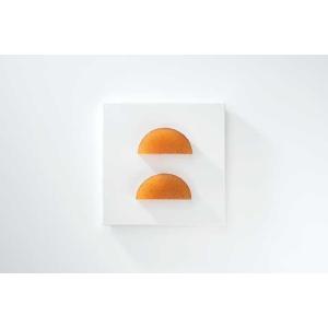 スライス柿羊羹 30枚入り ｜ 柿を使ったお菓子｜delica-netclub