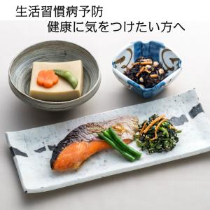 介護食 冷凍 MFSバランス健康食(お試しセッ...の詳細画像1