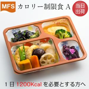 介護食 冷凍 カロリーオフ ＭＦＳカロリー制限食Ｂ(お試しセット) 6食入り 当日出荷 冷凍食品 カ...