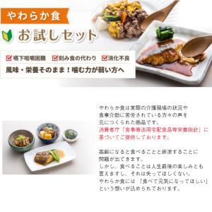 介護食 冷凍 高齢者 食事 MFSやわらか食(...の詳細画像2