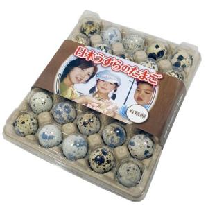 [うずらや]孵化してすぐ使える専用の餌と有精卵...の詳細画像1