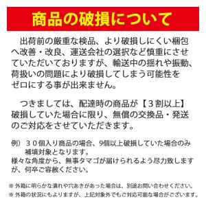 [うずらや]孵化してすぐ使える専用の餌と有精卵...の詳細画像4