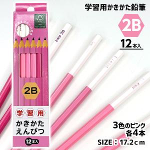 子供 景品 夏イベント 祭り 縁日 学習用かきかた鉛筆2B  ピンク 1打から販売 文具 学用品 ネコポス可（2ダースまで）｜delight-base