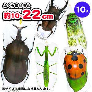 子供 景品 夏イベント 祭り 縁日 昆虫図鑑コレクション 10ヶ1セット｜delight-base