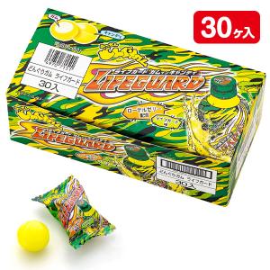 Pine（パイン） どんぐりガム 3種詰め合わせ 60個 （3種類×各20個