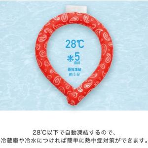 ネッククーラー PCMリング PAISLEY ...の詳細画像5