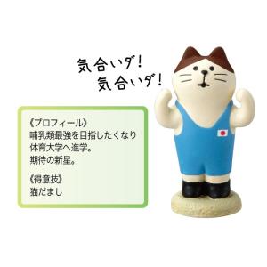 デコレ コンコンブル 夏 おすすめアイスクリームセット 雪猫アイス店