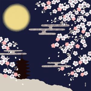 濱文様 小布 2022年新柄 月夜の桜 春柄 小風呂敷 50x50cm