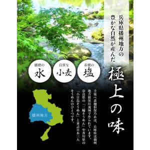暑中見舞い 揖保乃糸 2026 特級品 50g...の詳細画像3