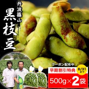 2023 販売開始丹波篠山 黒枝豆 ＜ 枝豆 500g × 2袋 ＞ h-2