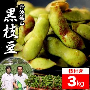 枝豆 2025 丹波篠山 ブランド 黒枝豆 3kg 枝付き h-e3 もっちり 大粒 丹波 黒豆 爆買