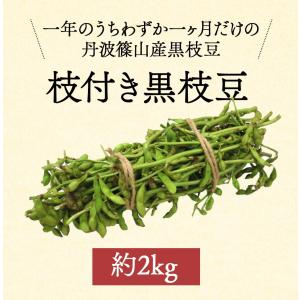 早割 早期予約 クーポン 発行中 枝豆 202...の詳細画像1