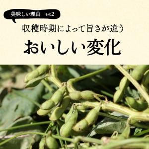 早割 早期予約 クーポン 発行中 枝豆 202...の詳細画像5
