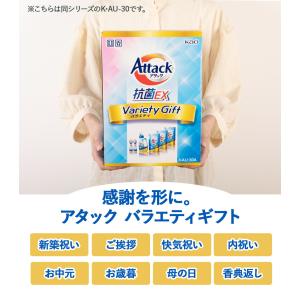 2026 花王 アタック抗菌EXバラエティギフ...の詳細画像4
