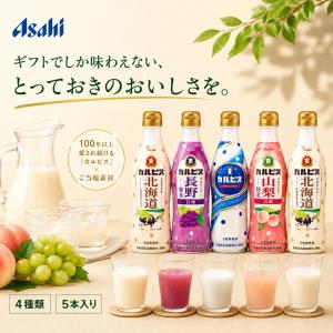 2026年 父の日 お中元 カルピス ギフトセット ５本 CR30R 夏ギフト 暑中見舞い 残暑見舞い ドリンクギフト 飲料ギフト ジュース 原液 御祝 ギフト お返し tz_