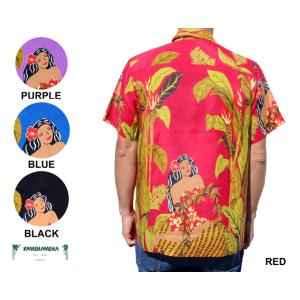 【在庫限り処分価格】KAMEHAMEHA カメハ...の商品画像