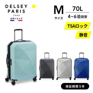 公式 DELSEY デルセー TITANIUM チタニウム スーツ ケース 44L Sサイズ