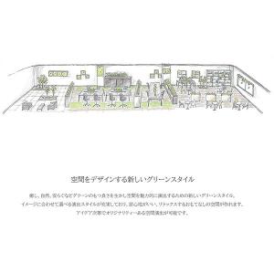 オフィスグリーン フィカスベンジャミン W12...の詳細画像3