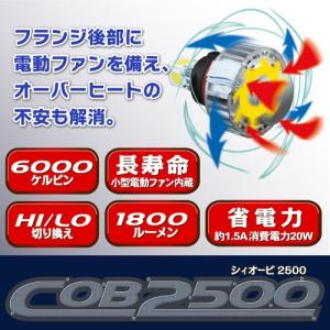 ミニバイク用 LED ヘッドライト COB 2500 6000K (H4H/L・H4R H/L・PH11・HS5・PH8) デルタダイレクト