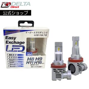 デルタダイレクト D-2150 H4 イージーエクスチェンジ LEDバルブ ヘッド