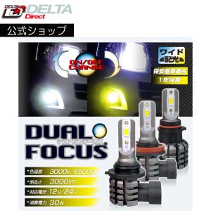 デルタダイレクト D-2150 H4 イージーエクスチェンジ LEDバルブ ヘッド