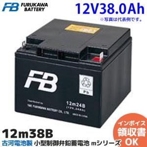 GSユアサ PE12V24B1 （ PE12V24 ）GSユアサ製 小形制御弁式鉛蓄電池 PE
