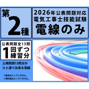 電線のみセット 1回分 練習用|第二種電気工事...の詳細画像2