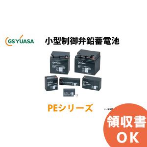 受注品 PE6V8 GSユアサ製 小形制御弁式鉛蓄電池 PEシリーズ（取寄送料含む） キャンセル返品不可｜denchiya