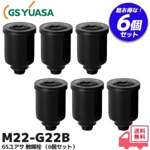 触媒栓 2CPA 6個1セット 有効期限シール付 【エナジーウィズ】（昭和