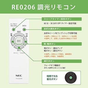 NEC RE0206 (RE0201 代替品)...の詳細画像1