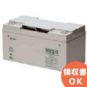 GSユアサ 受注品 納期:約2か月 REH24-12 GSユアサ製 制御弁式鉛蓄電池 