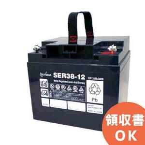 SER38-12 GSユアサ 小型電動車用制御弁式鉛蓄電池 12V32Ah （2個セット）受注品　代引不可 キャンセル返品不可 時間指定不可｜denchiya