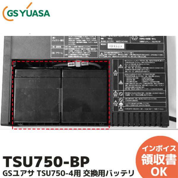 TSU750-BP (TSU750-4 用 交換バッテリ) Acrostar UPS  Acrost...