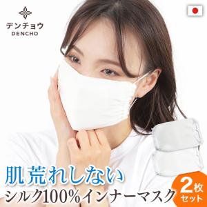 シルク マスク 2枚入 シルク100％ マスク インナー 肌荒れ 日本製 敏感肌 保湿 おやすみ お休み 就寝 睡眠 寝る 時 冷感 洗える 乾燥肌
