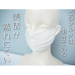 デンチョウ インナー 及び シルク マスク 2...の詳細画像4