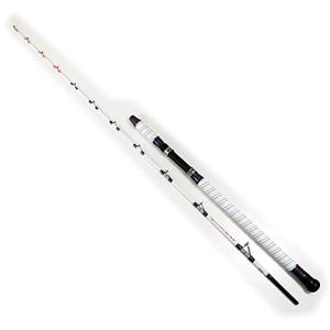 DAIWA（ダイワ） 潮流 （チョウリュウ） マダイ 255 Y : つり具の