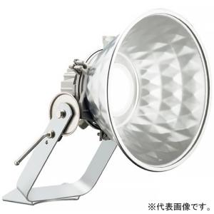 岩崎電気 LE056035HSZ1/2.4-A2 レディオックLEDライトバルブ 48W