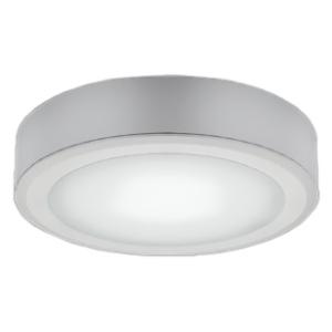 遠藤照明 LEDミニダウンライト 直付タイプ 300TYPE 12Vハロゲン球20W器具相当 調光・非調光兼用型 白 ERD6082W+RB-627W