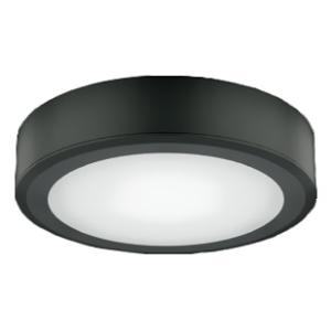 遠藤照明 LEDミニダウンライト 直付タイプ 300TYPE 12Vハロゲン球20W器具相当 調光・...