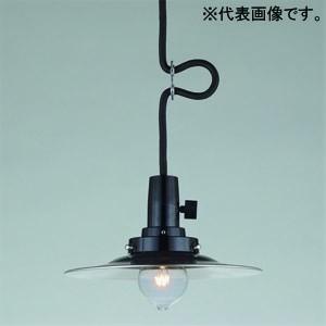 岩崎電気 アイ 水銀ランプ用安定器 40W用 一般形高力率 周波数:60Hz H0