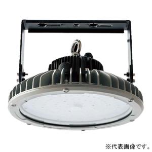 岩崎電気 (送料無料) LDFS62N-G-E39D (旧形式：LDFS79N-G-E39C) LED