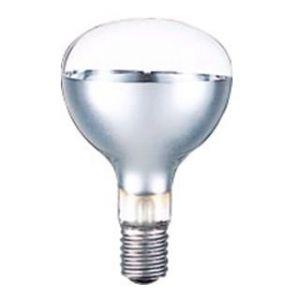 岩崎電気 屋外投光用アイランプ 散光形 110V 100W形 E26口金 RF110V90WH