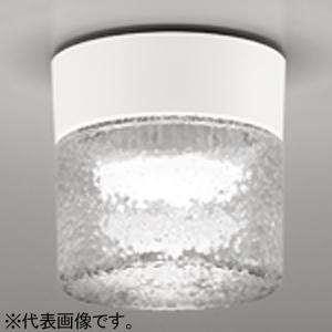 オーデリック LEDバスルームライト 防雨・防湿型 口金GX53-1 電球色 壁面・天井面・傾斜面取...