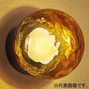 オーデリック LEDポーチライト 防雨・防湿型 口金GX53-1 電球色 壁面・天井面・傾斜面取付兼...