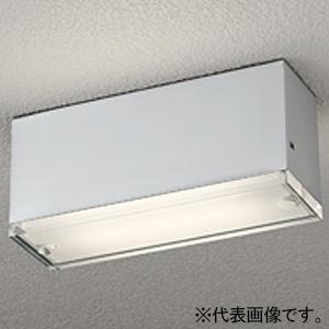 オーデリック LED小型ポーチライト 防雨型拡散光カバータイプ 昼白色 天井面取付専用 マットシルバ...