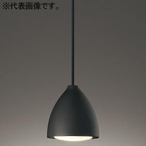 オーデリック LEDペンダントライト 口金GX53-1 昼白色 直付専用 鉄黒色 OP252955N...