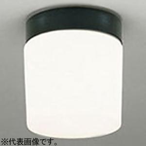 オーデリック LEDバスルームライト 防雨・防湿型 塩害地向け 口金E26 昼白色 黒色 OW009...