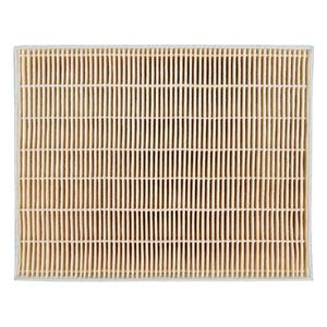 Panasonic（パナソニック） FY-FDD2519AC 交換用微小粒子用フィルター